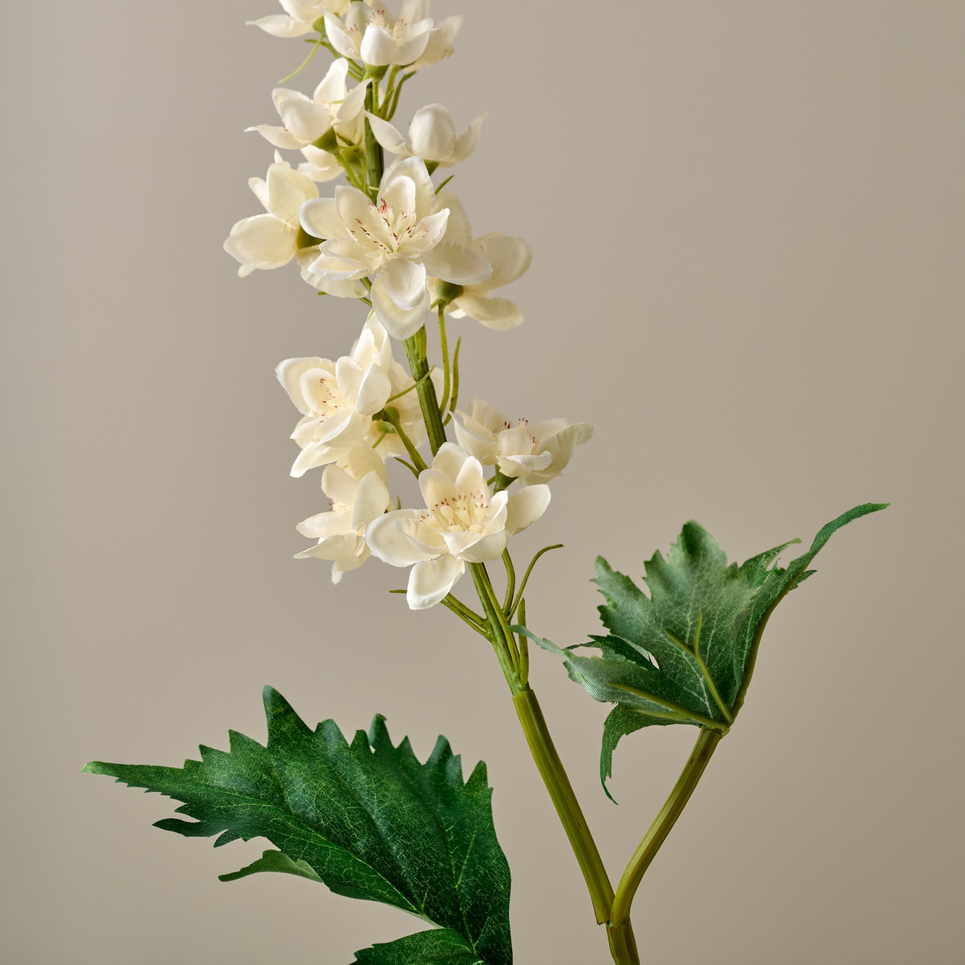 Larkspur Stem (Cream) close up view