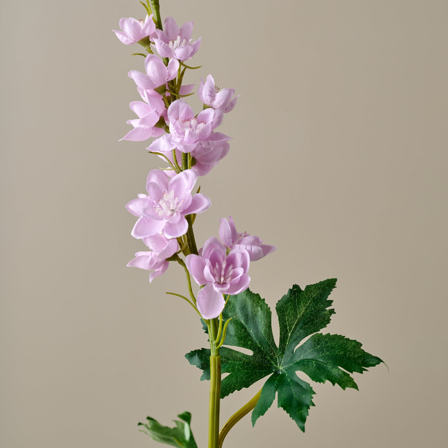 Larkspur Stem (Purple) close up view