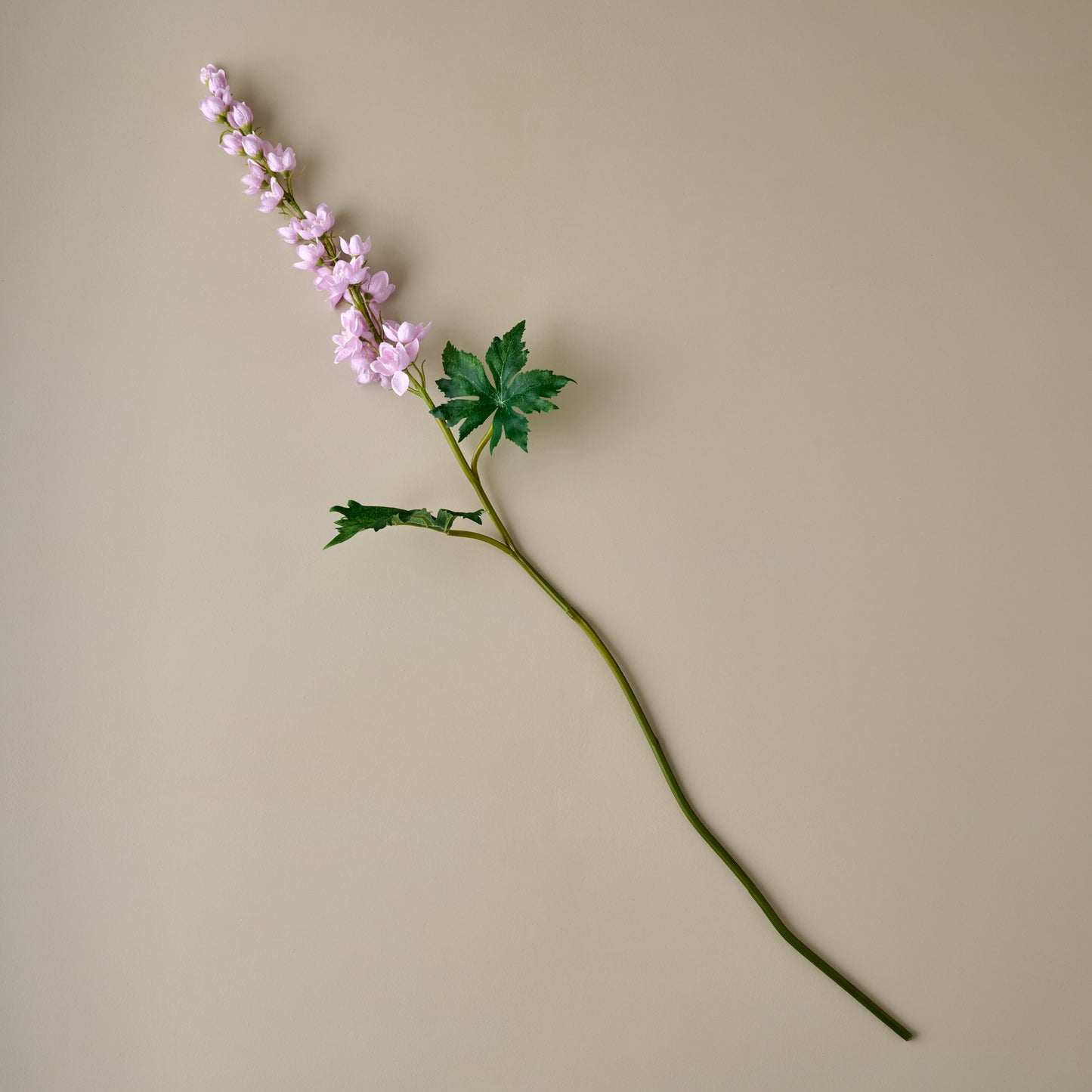 Larkspur Stem (Purple)