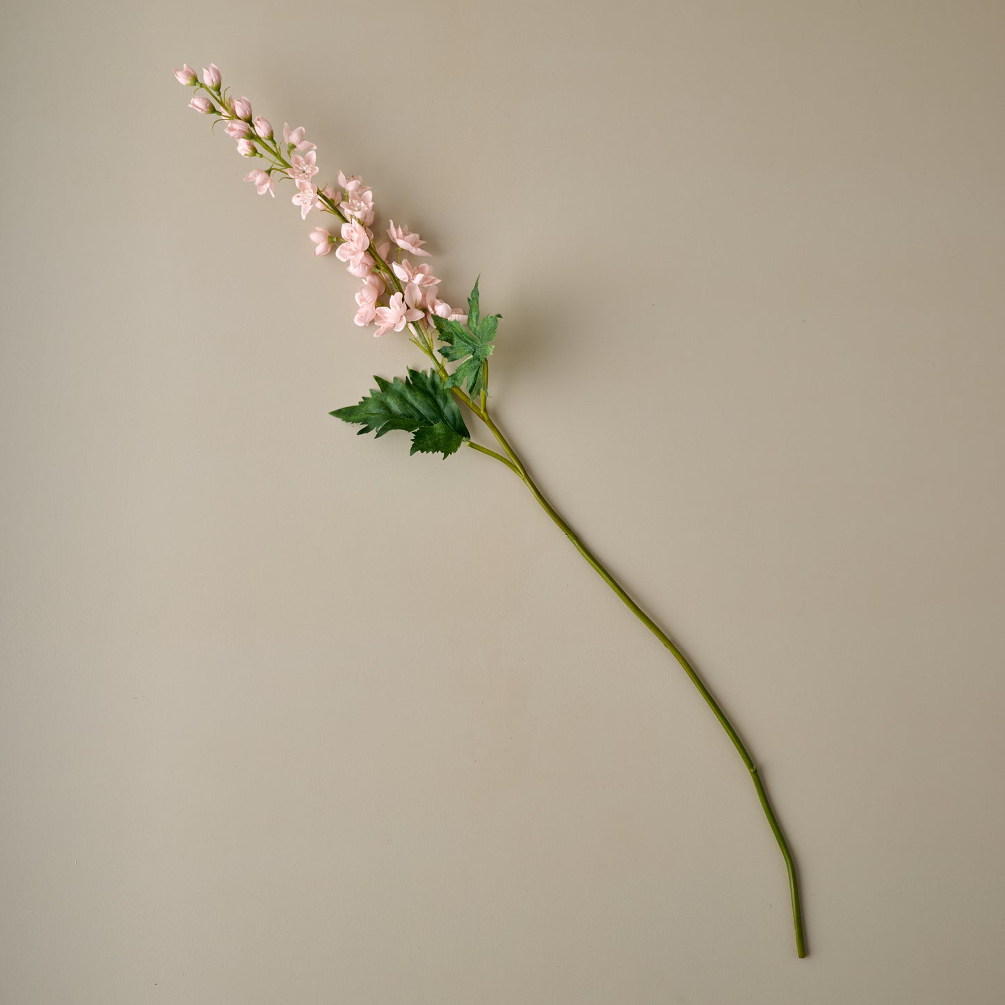 Larkspur Stem (Peach)