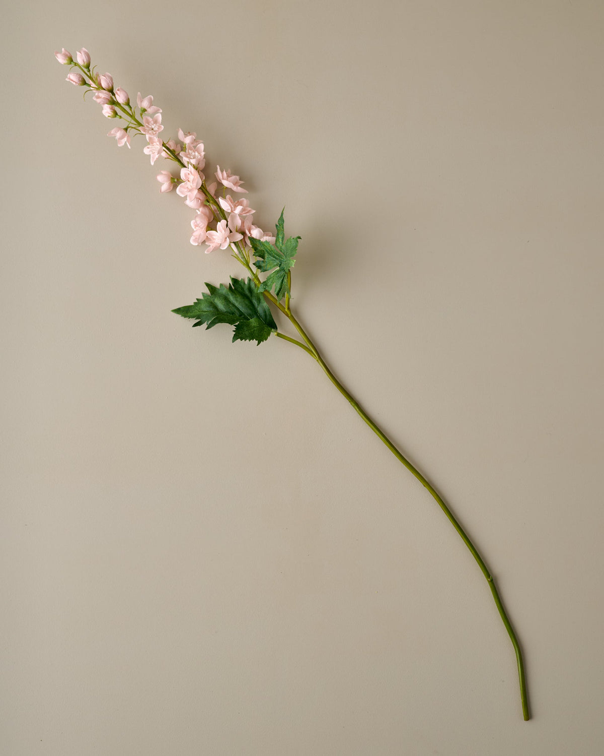 Larkspur Stem (Peach)