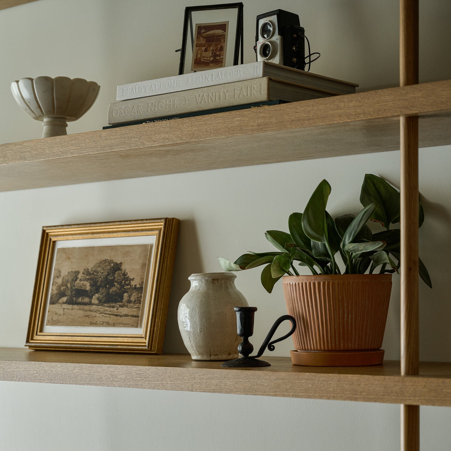 Farmland Study with a vase and a potted plant on a shelf