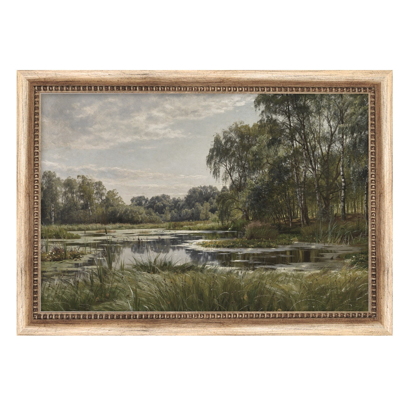 Pond Study Art