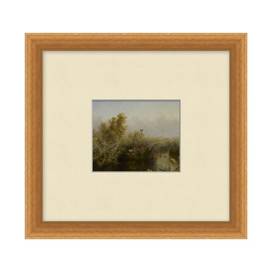 Estuary Study