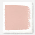Muted salmon pink paint named cabbage rose