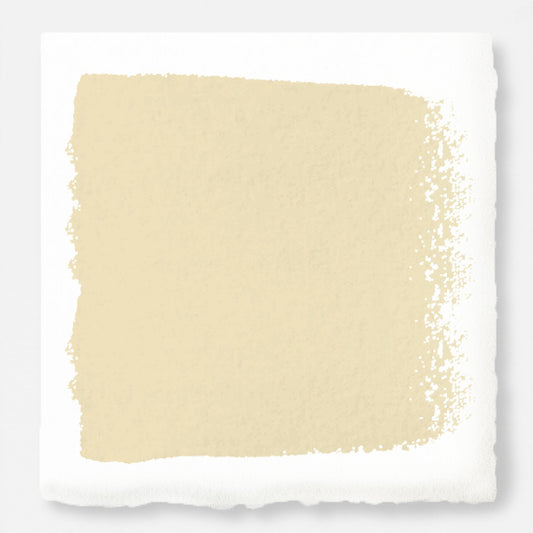 Pale yellow with beige hues classic interior paint named ambient light