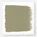 Ashy olive green paint named countryside
