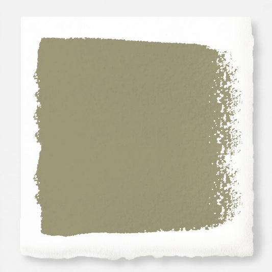 Ashy olive green paint named countryside