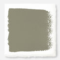Lighter shade of army green with notes of hazel paint named garden party