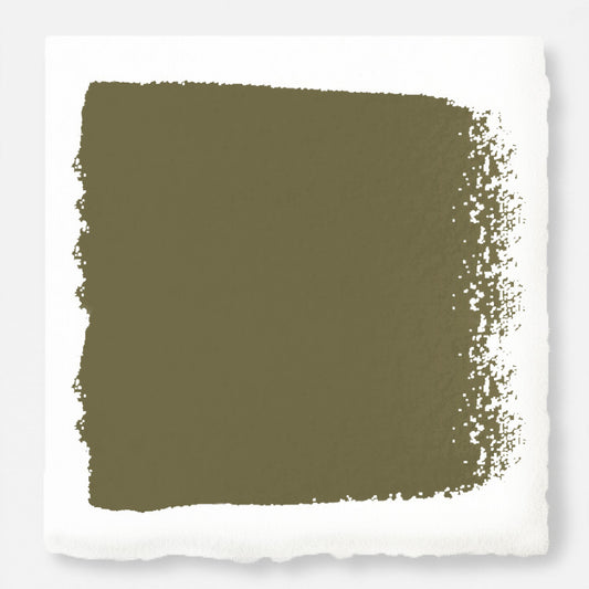 Asparagus green with hazel hues paint called landscape