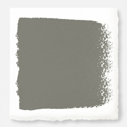 Gray with sage and olive green undertones paint named boutique gray