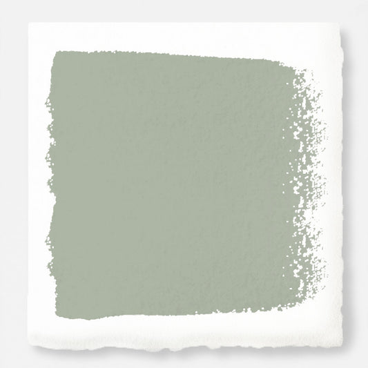 Frosty mint green with beige notes paint named early riser