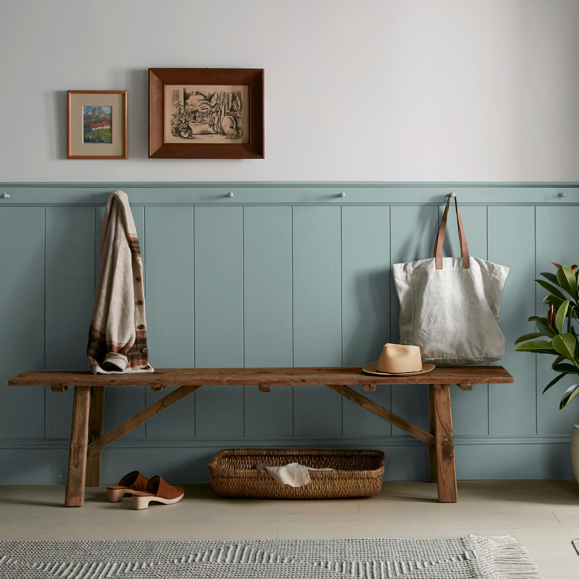 Ashy green with aqua undertone interior paint named well watered shown painted on entryway wall