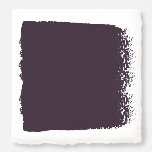 Deep eggplant purple paint named plum suede
