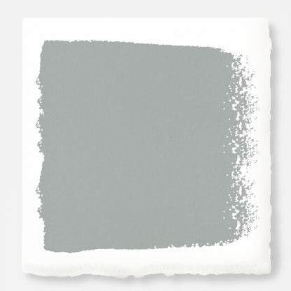 neutral grey with a tinge of blue paint color named tranquil waters