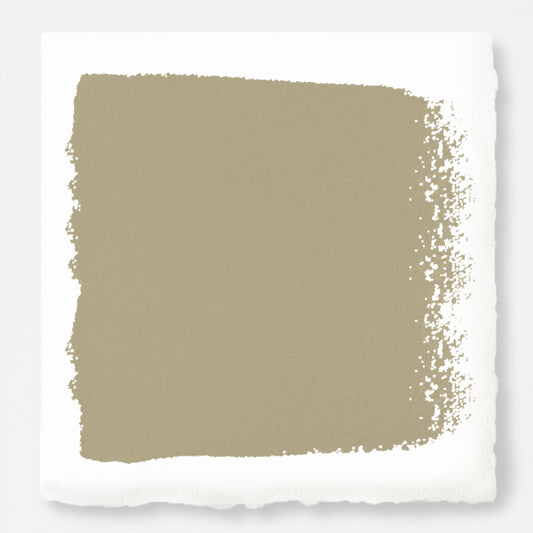 A warm, sun-washed green paint named juniper tree