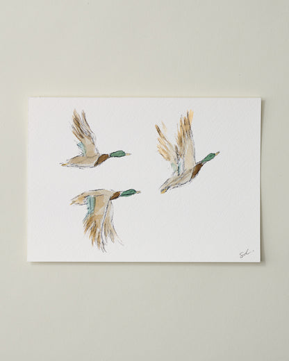Mallards in Flight II Fine Art Print - 5 x 7