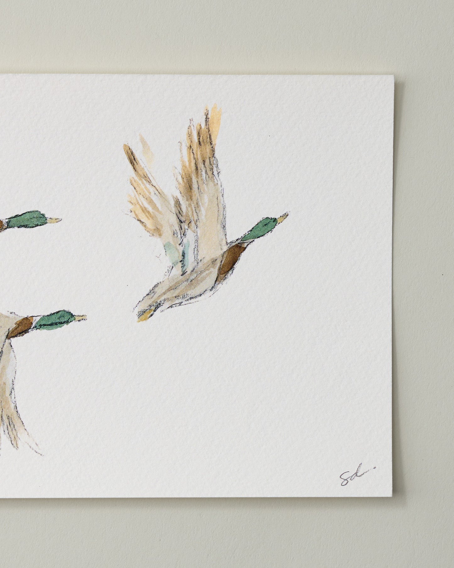 Mallards in Flight II Fine Art Print - 5 x 7