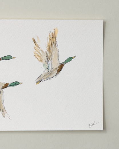 Mallards in Flight II Fine Art Print - 5 x 7