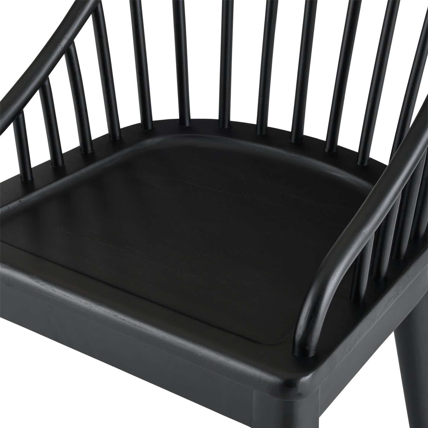 Carlotta Dining Chair in black mahogany close up of chair seat