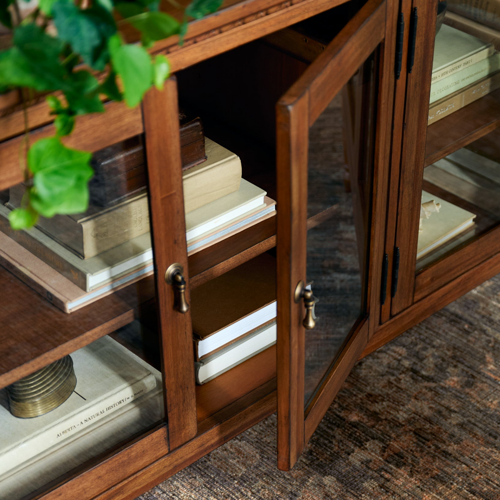 A close-up of a wooden cabinet with glass doors, shown open with books inside. The cabinet has a warm medium-brown wood finish, brass-toned hardware, and is set on a textured brown rug with a green plant visible in the upper left corner.