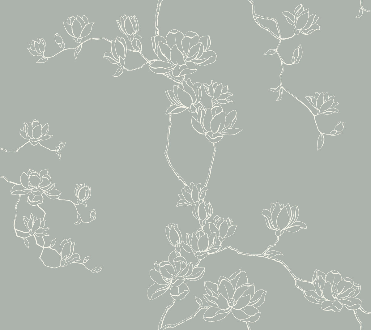 Magnolia Branches Wallpaper in eucalyptus