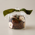 Magnolia Forest Hearth Stovetop Simmer