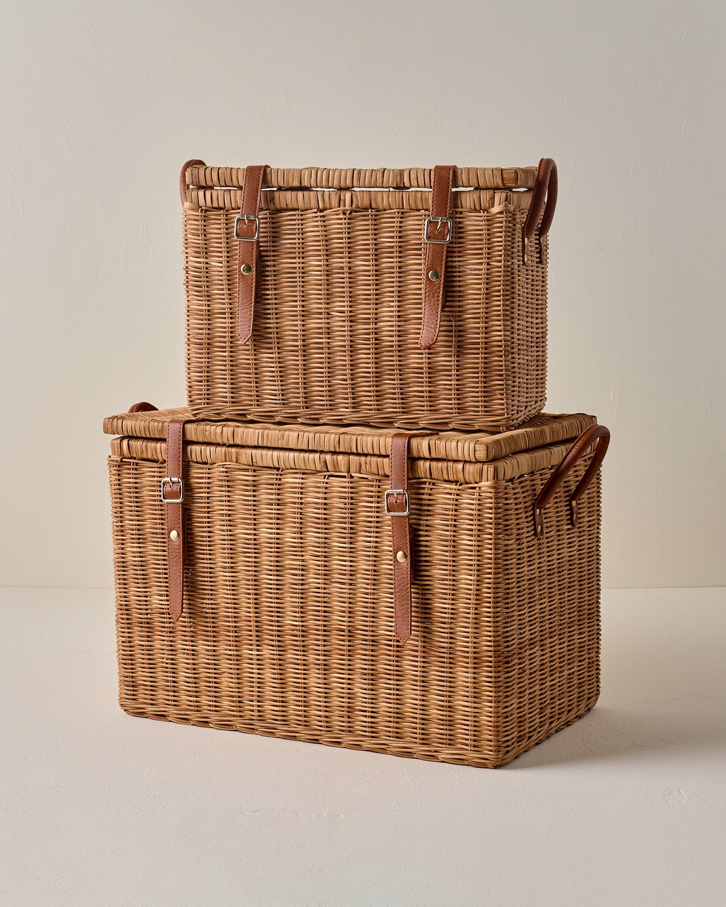 Reid Woven Storage Trunk with Leather Handles - 2 sizes