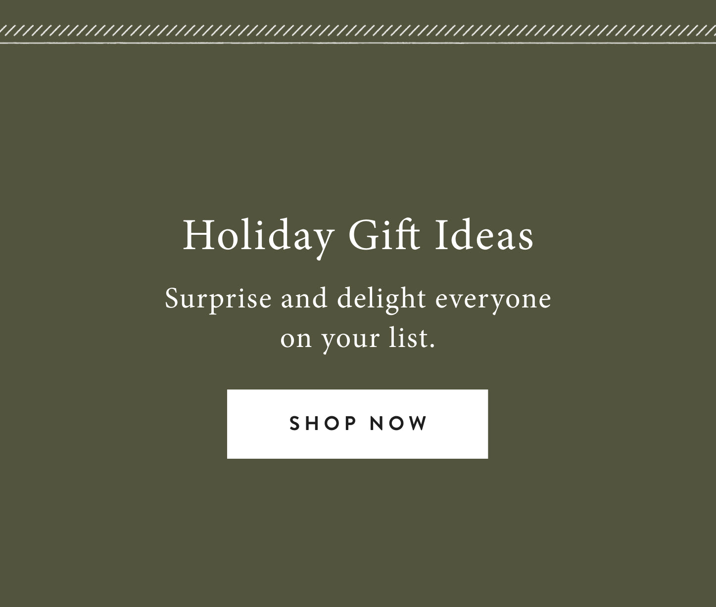 Holiday Gift Ideas.  Surprise and delight everyone on your list.  shop now.
