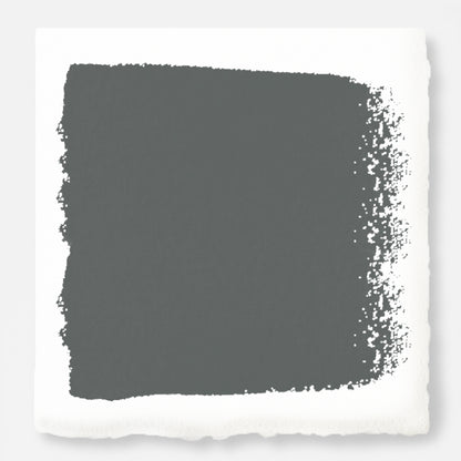Ridge Rock Swatch Paint