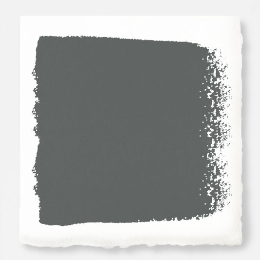 Ridge Rock Paint Swatch
