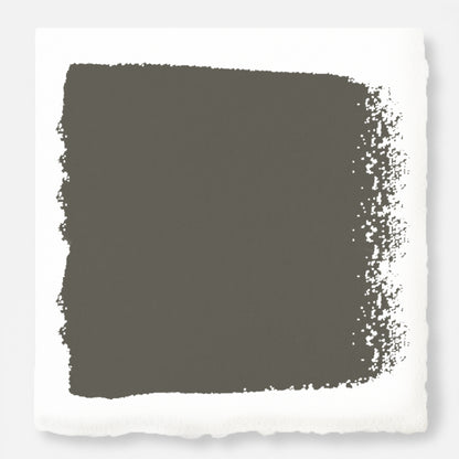 Trailhead Paint Swatch