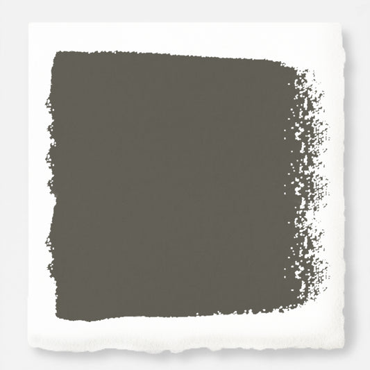 Trailhead Paint Swatch