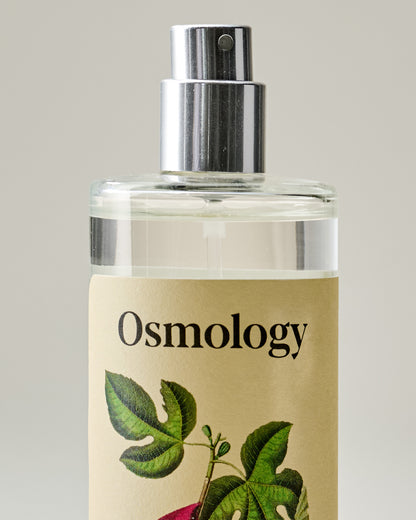 Fig Leaf Room and Linen Spray 3.4 oz