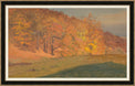 Autumn Woods