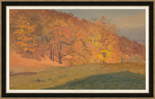 Autumn Woods