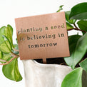 Planting A Seed Mini Garden Stake shown in plant