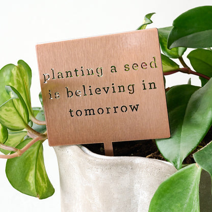 Planting A Seed Mini Garden Stake shown in plant