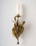 Gracie Wall Sconce
