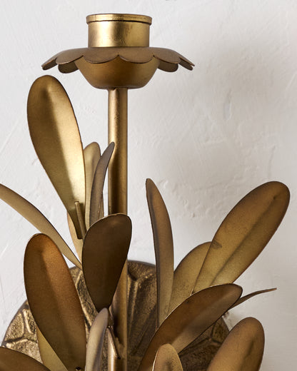 Gracie Wall Sconce
