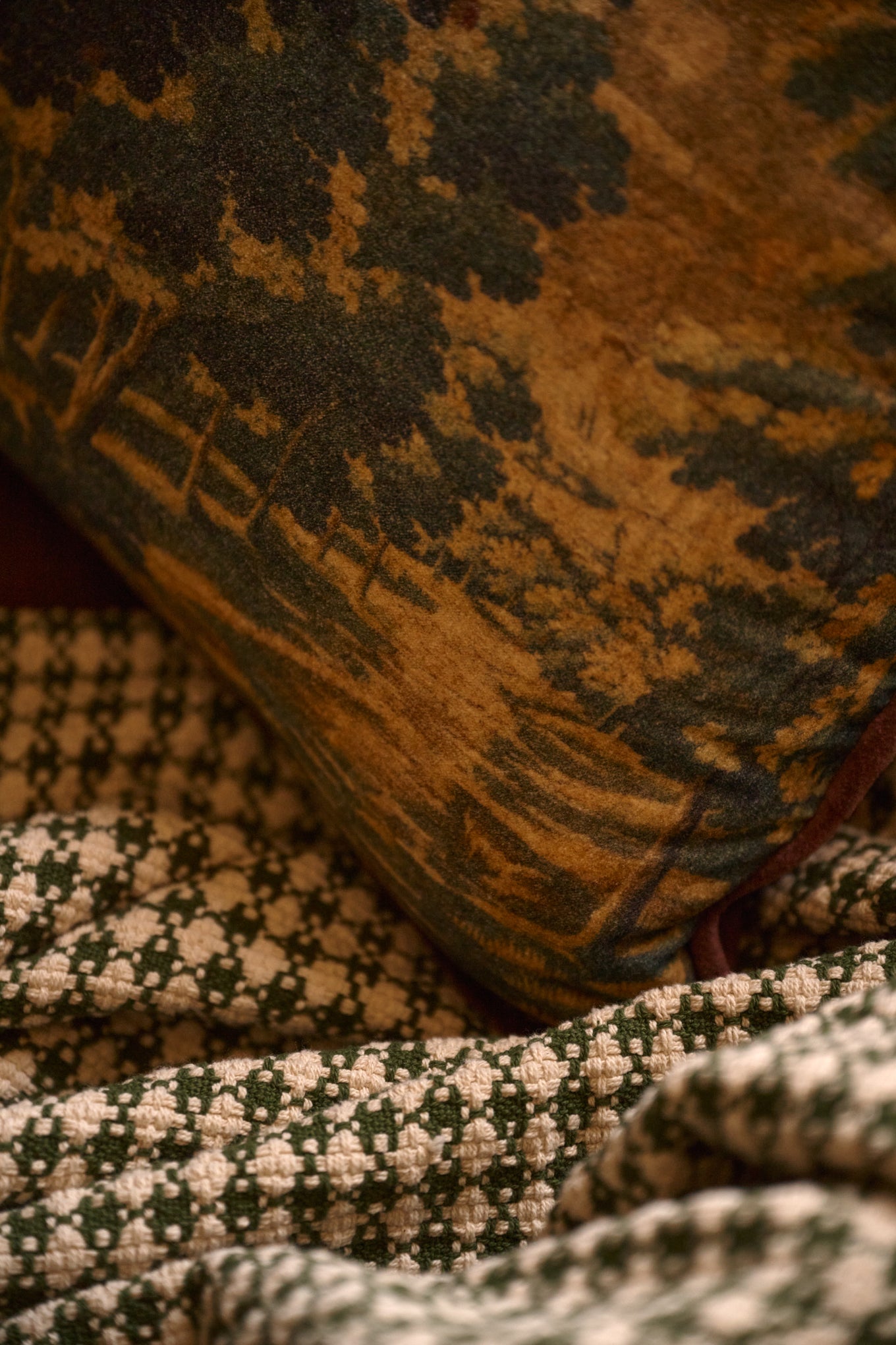 Evergrove Printed Velvet Pillow close up with plaid throw
