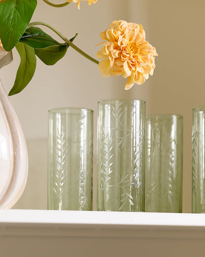 Recycled Etched Glass Tumbler, Green Large on shelf