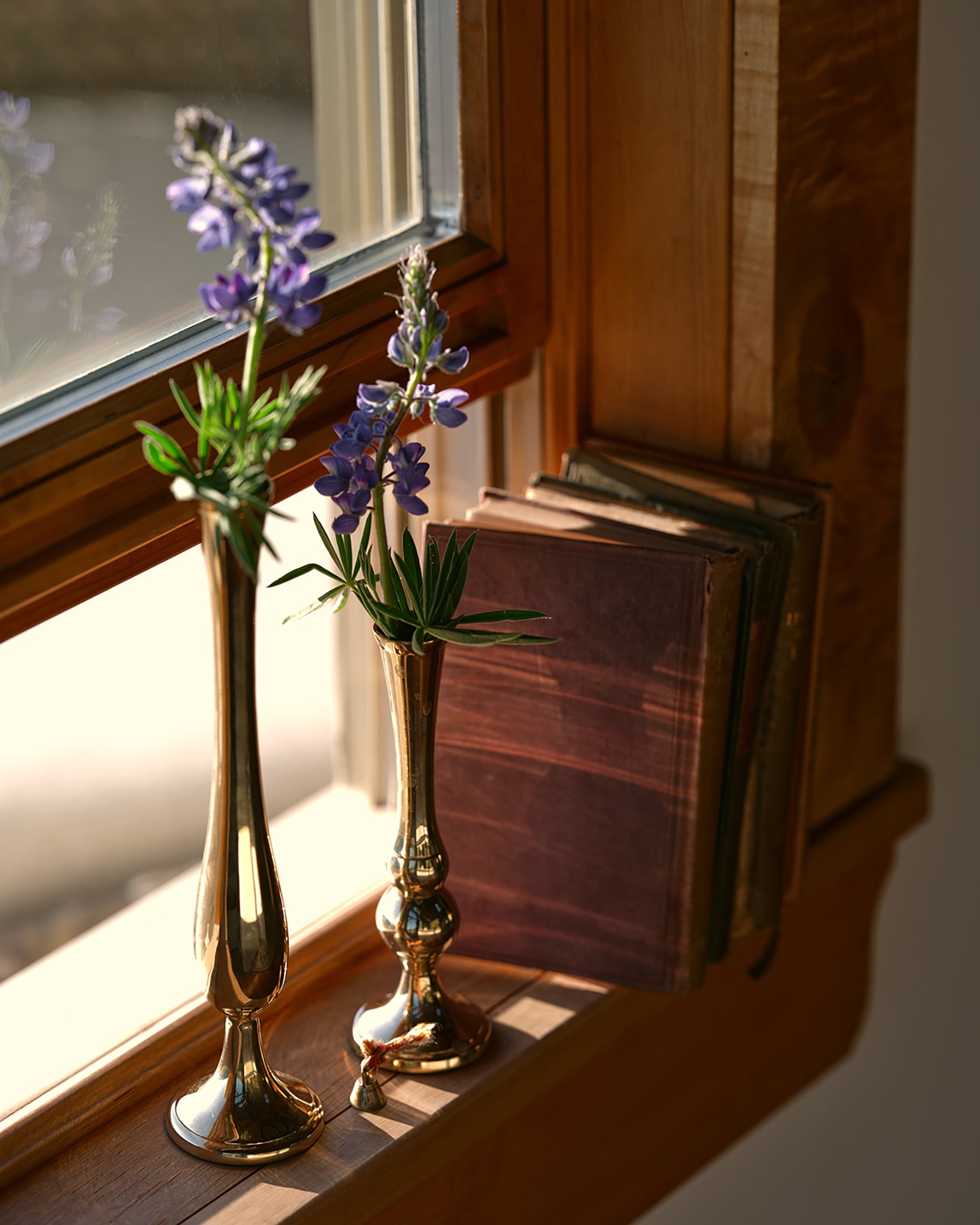 Embry Solid Brass Bud Vases