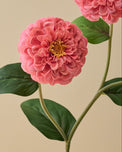 Close-up of a pink flower with green leaves on a beige background