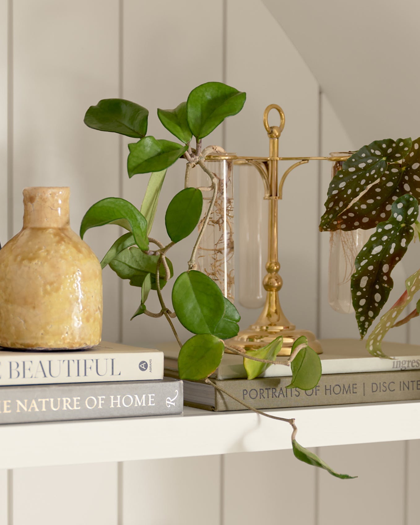 Solid Brass Antique Inspired Propagation Stand with growing plants on styled shelf