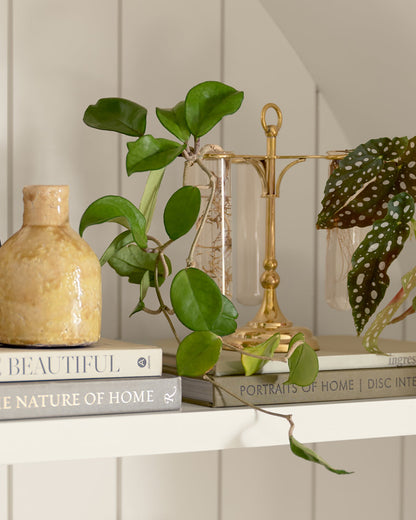 Solid Brass Antique Inspired Propagation Stand with growing plants on styled shelf