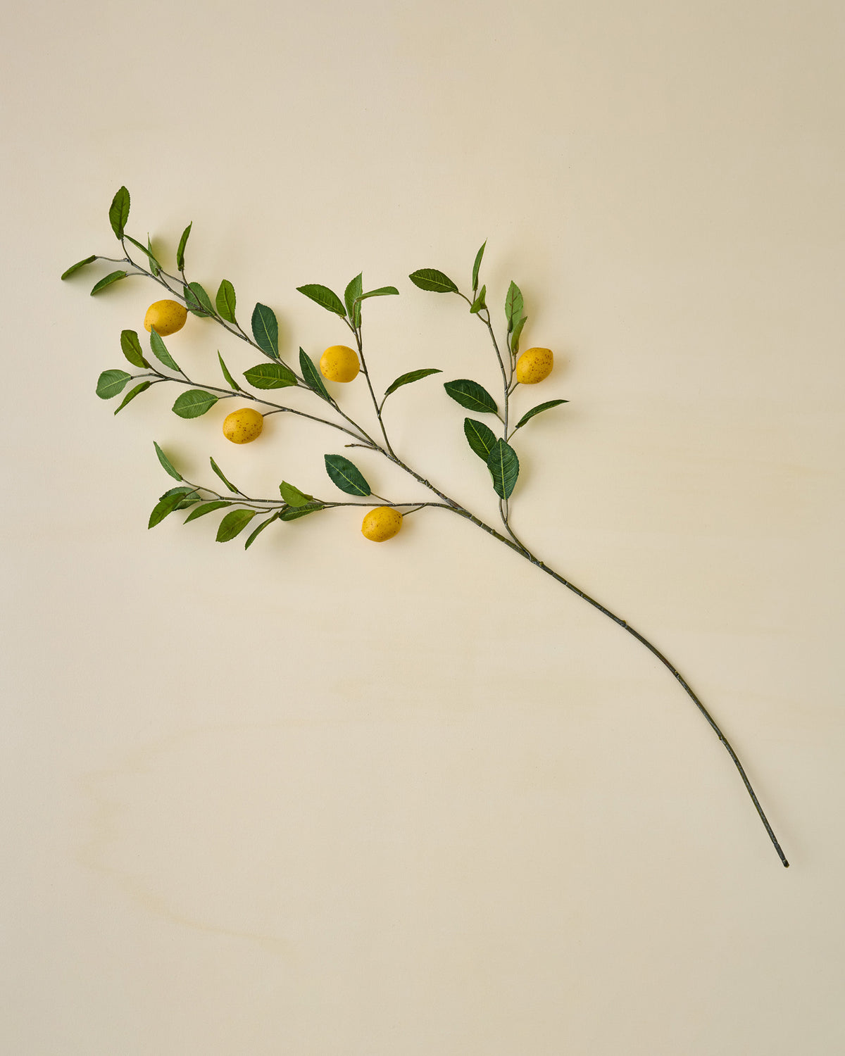 Lemon Citrus Stem