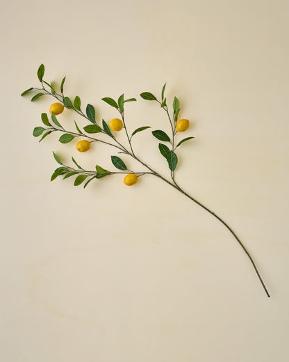 Lemon Citrus Stem