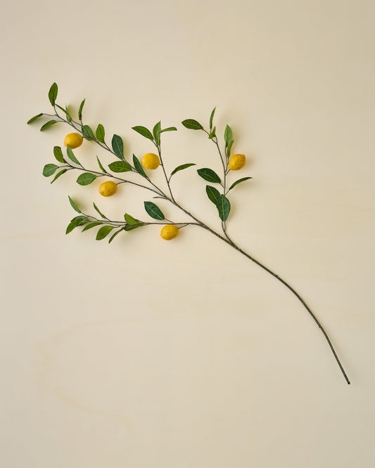 Lemon Citrus Stem