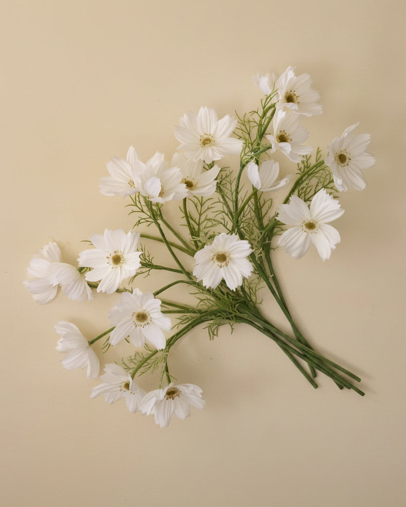 White Cosmos Bundle spread out